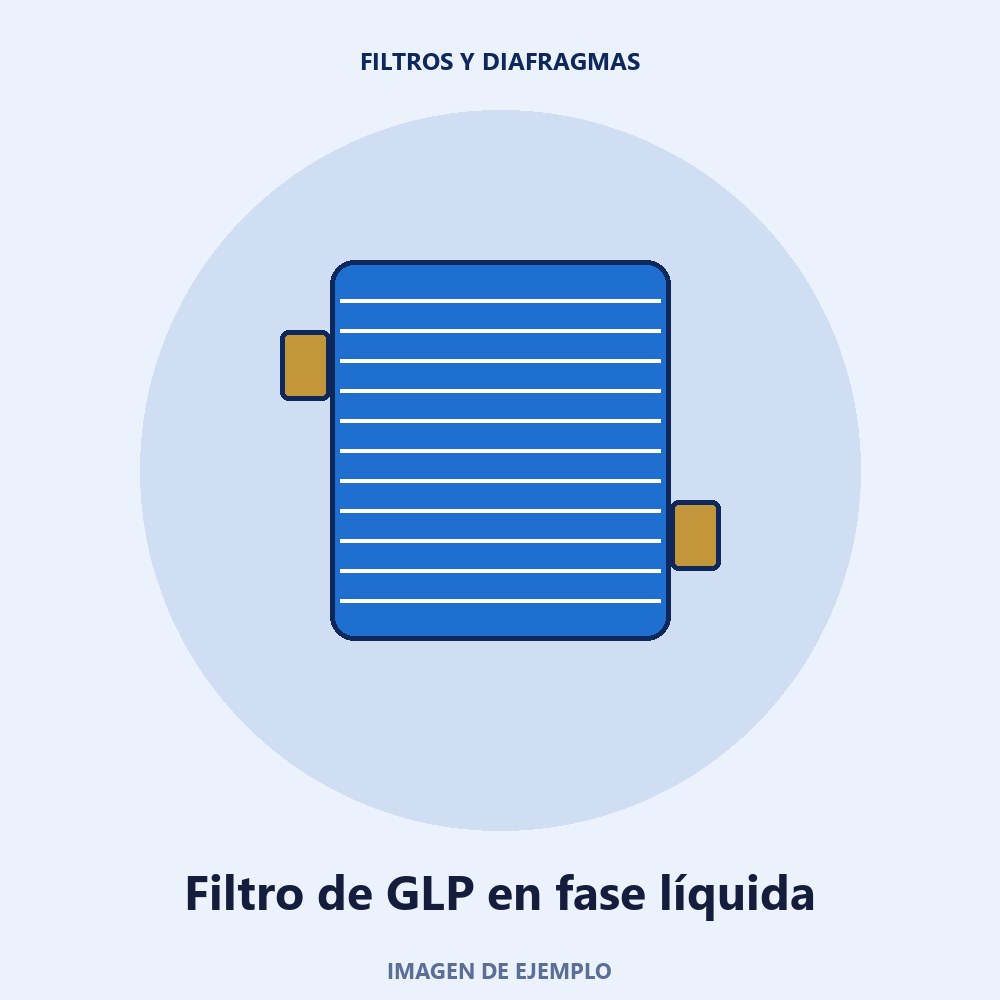 Filtro de GLP en fase líquida