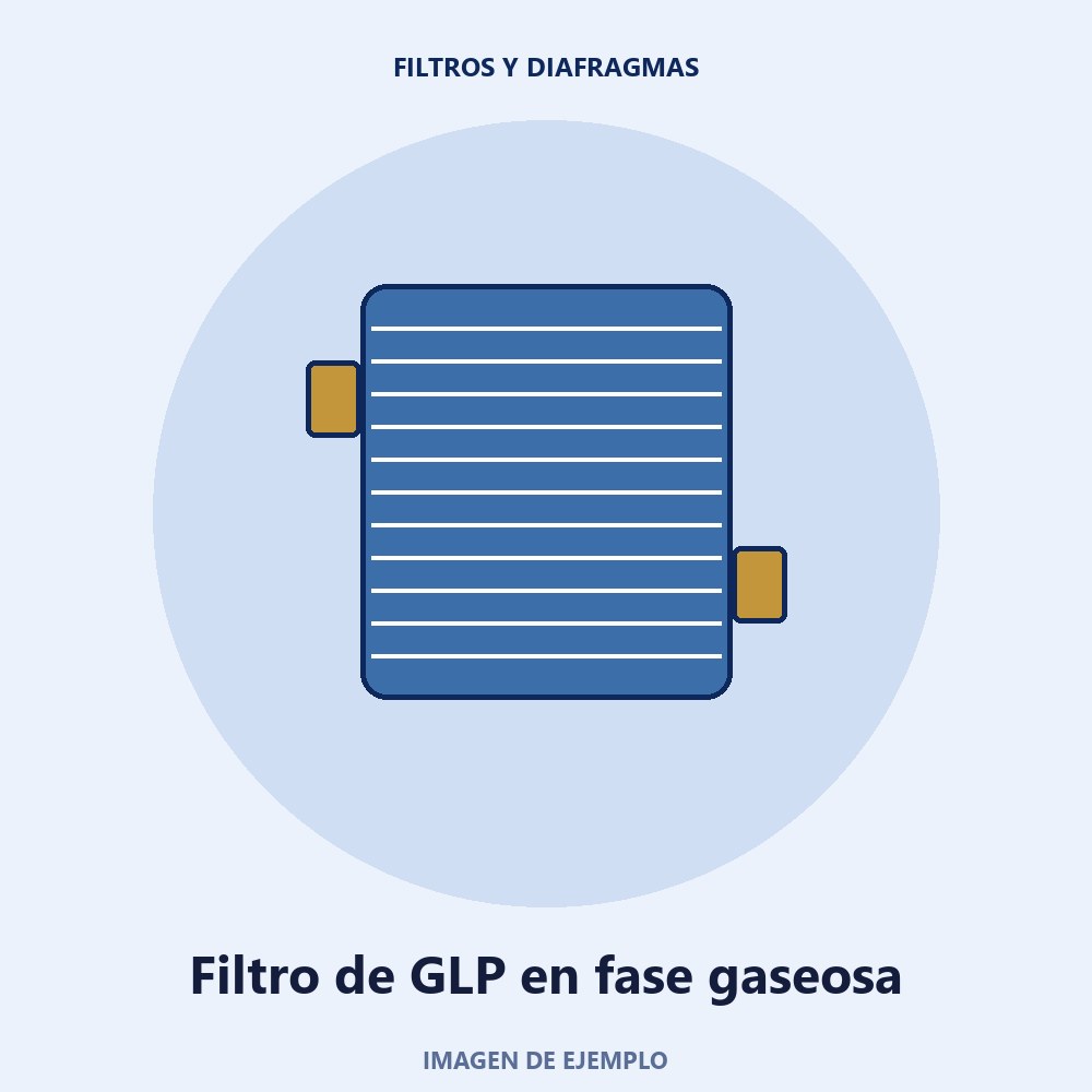 Filtro de GLP en fase gaseosa